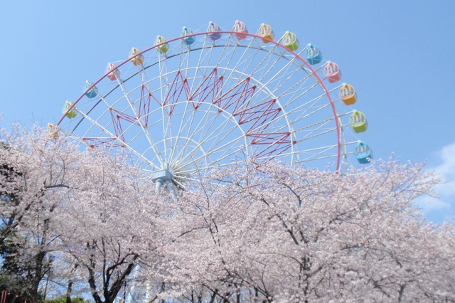 【春休み】浜名湖パルパル1dayフリーパス付ご宿泊プランのご予約受付を開始いたしました