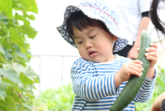 【New】野菜収穫体験付プラン受付開始