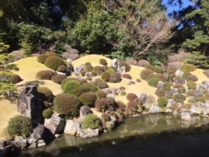 龍潭寺に行ってきました！！