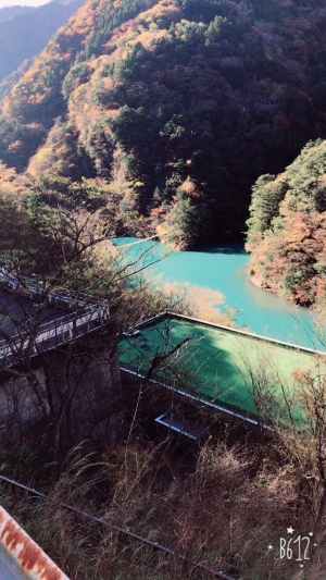 静岡おすすめ紅葉スポット！