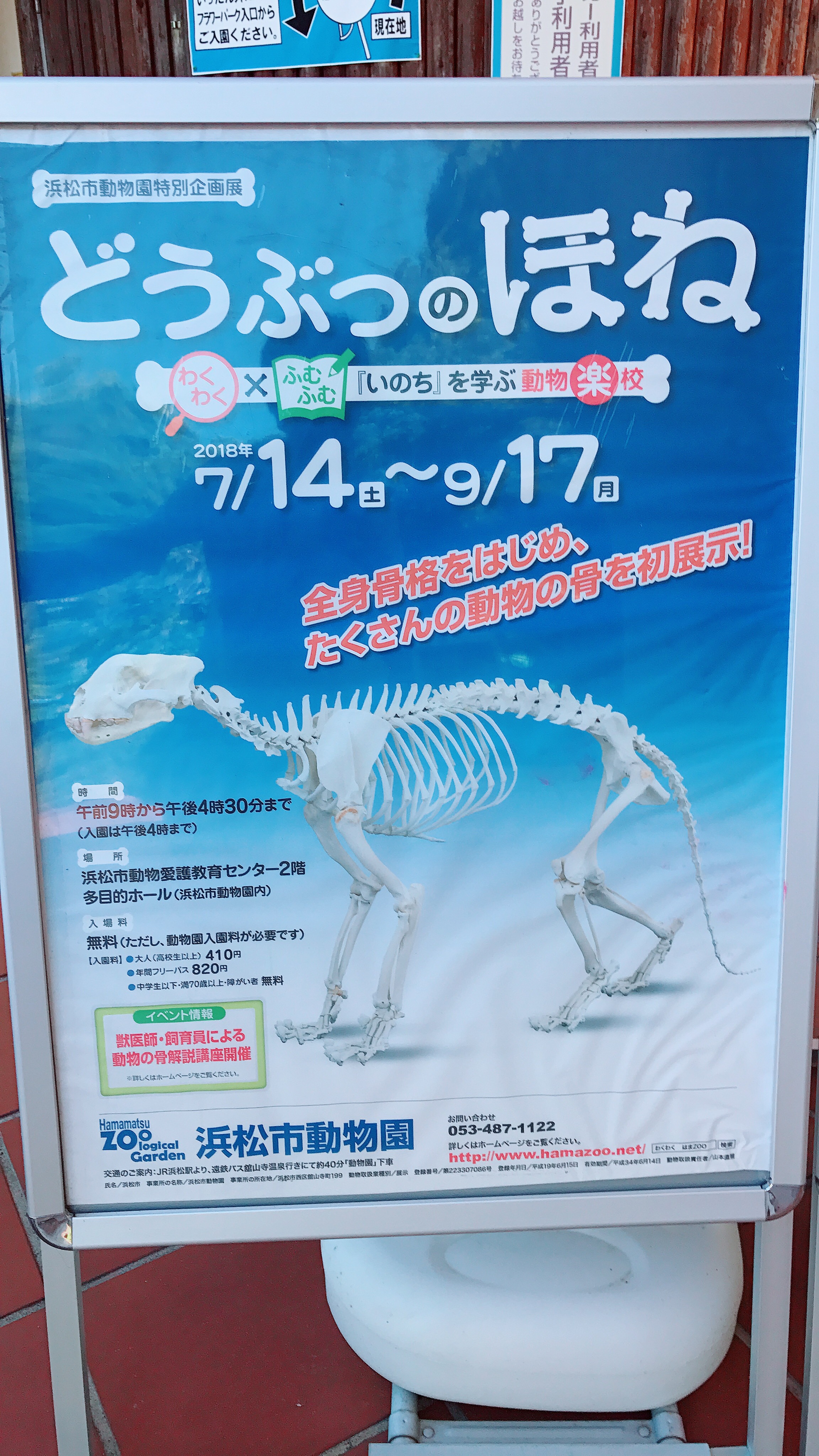 夏休みの最後は「浜松市動物園」で！！