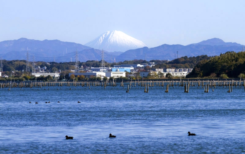 富士山を見に出かけよう！