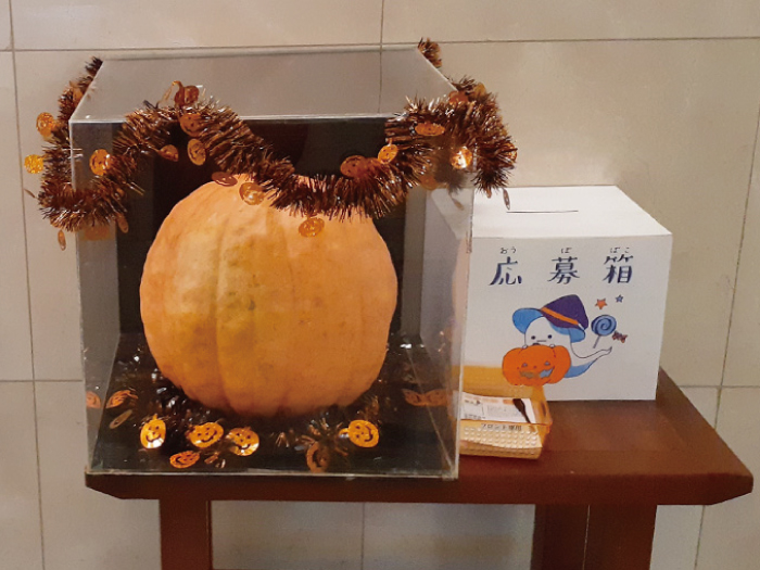 【正解発表】ハロウィンイベント「かぼちゃの重さ当てまSHOW」