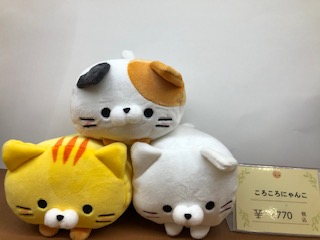 癒しのにゃんこ( ´∀｀ )｜ウェルシーズンのスタッフによる浜松観光お