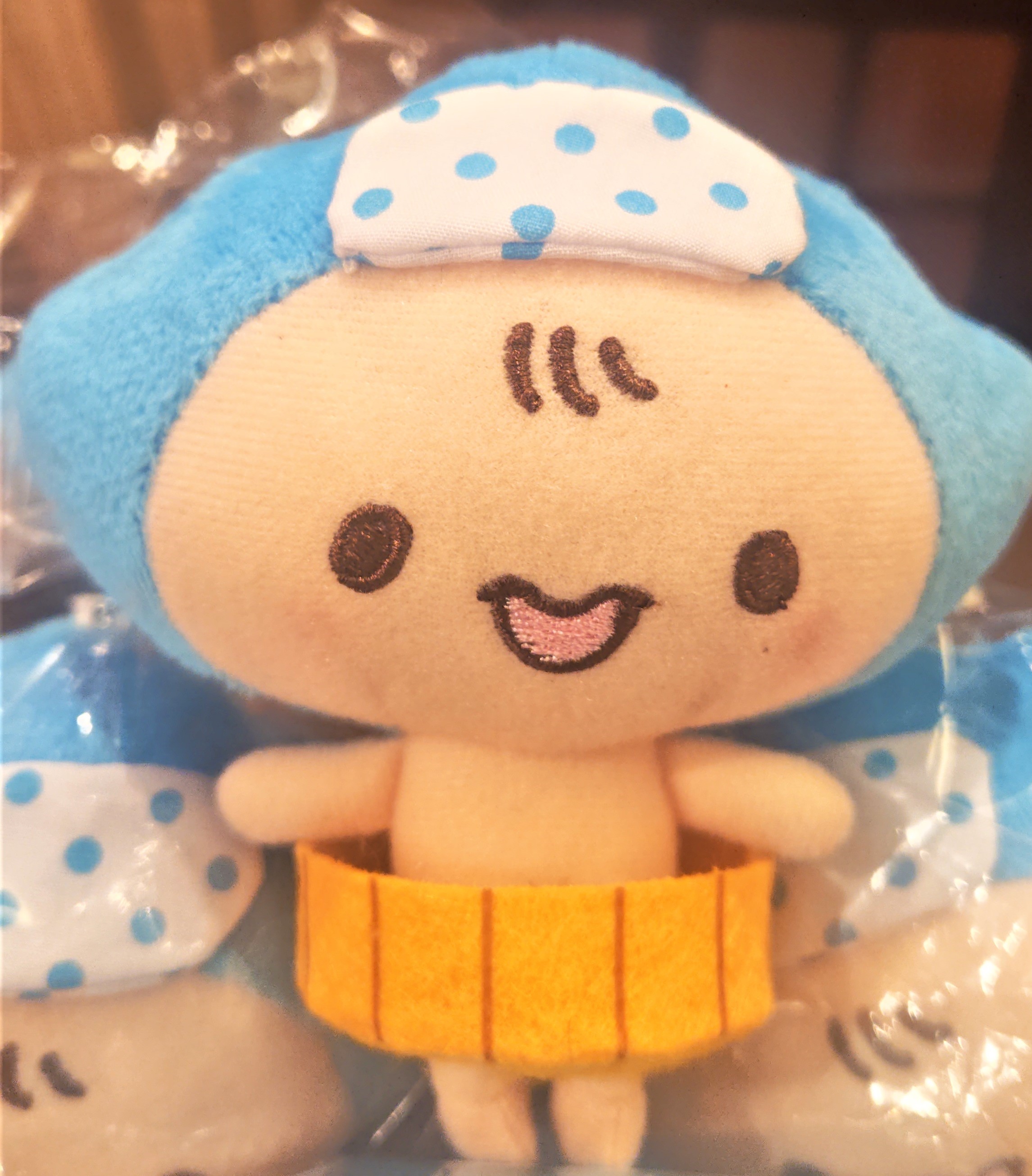 舘山寺萌湖ちゃんの新商品と華咲の湯キャラクターのぬいぐるみが完成